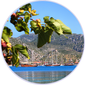 Kyyy Hotel Restaurant Selimiye